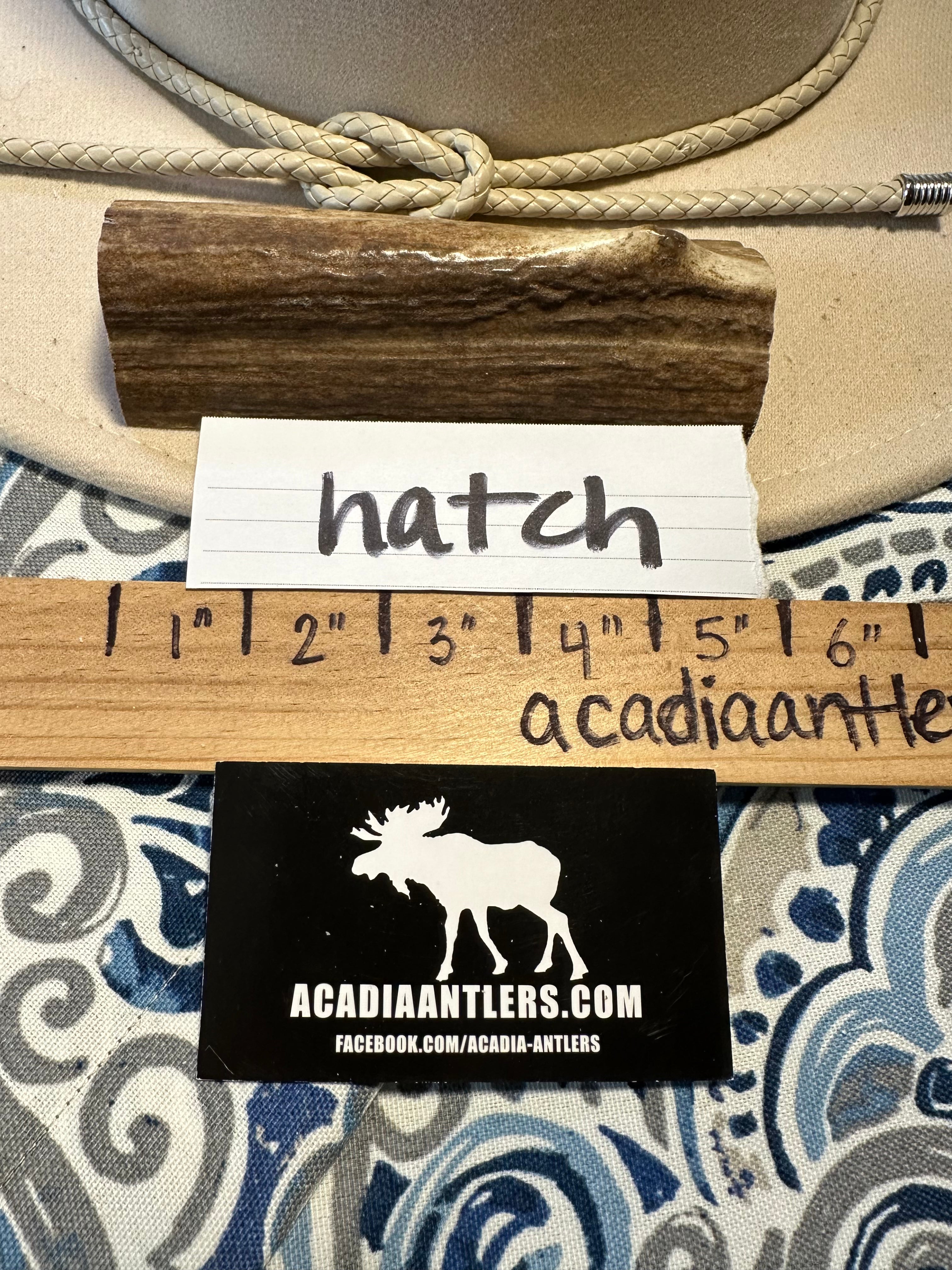 Acadia Antlers Medium CHUNKY ELK SPLIT - HATCH - Med.  Dog