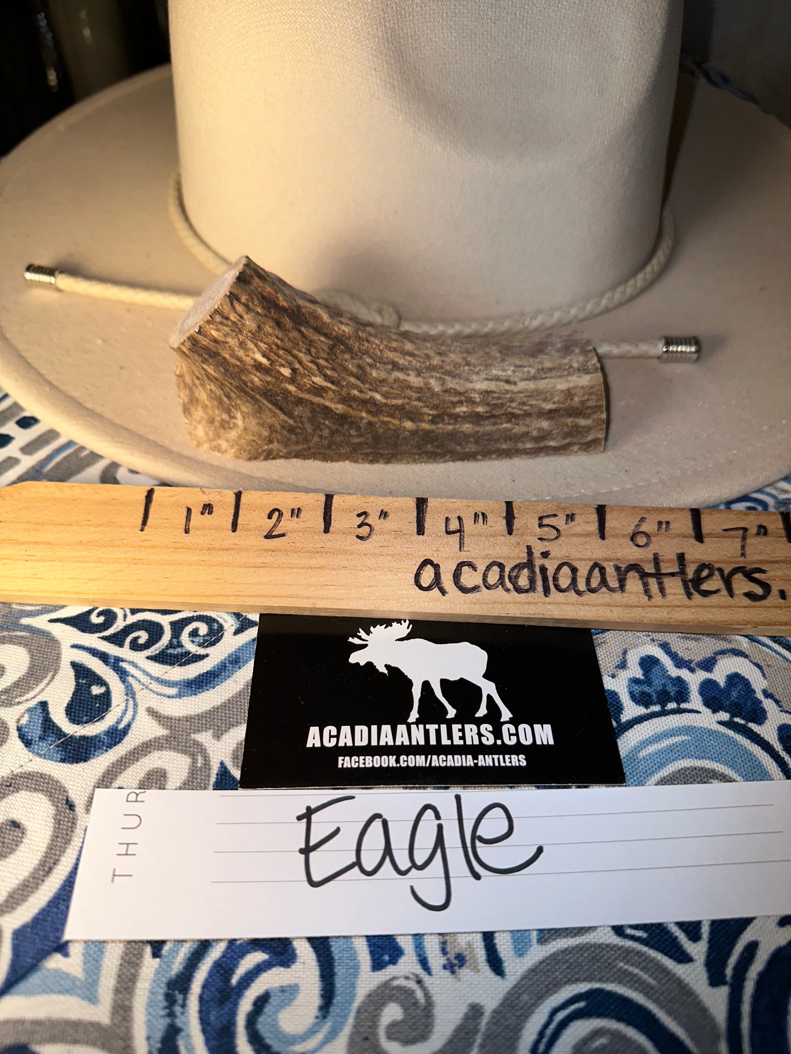 Acadia Chunky Split Elk Antler - EAGLE - M Dog