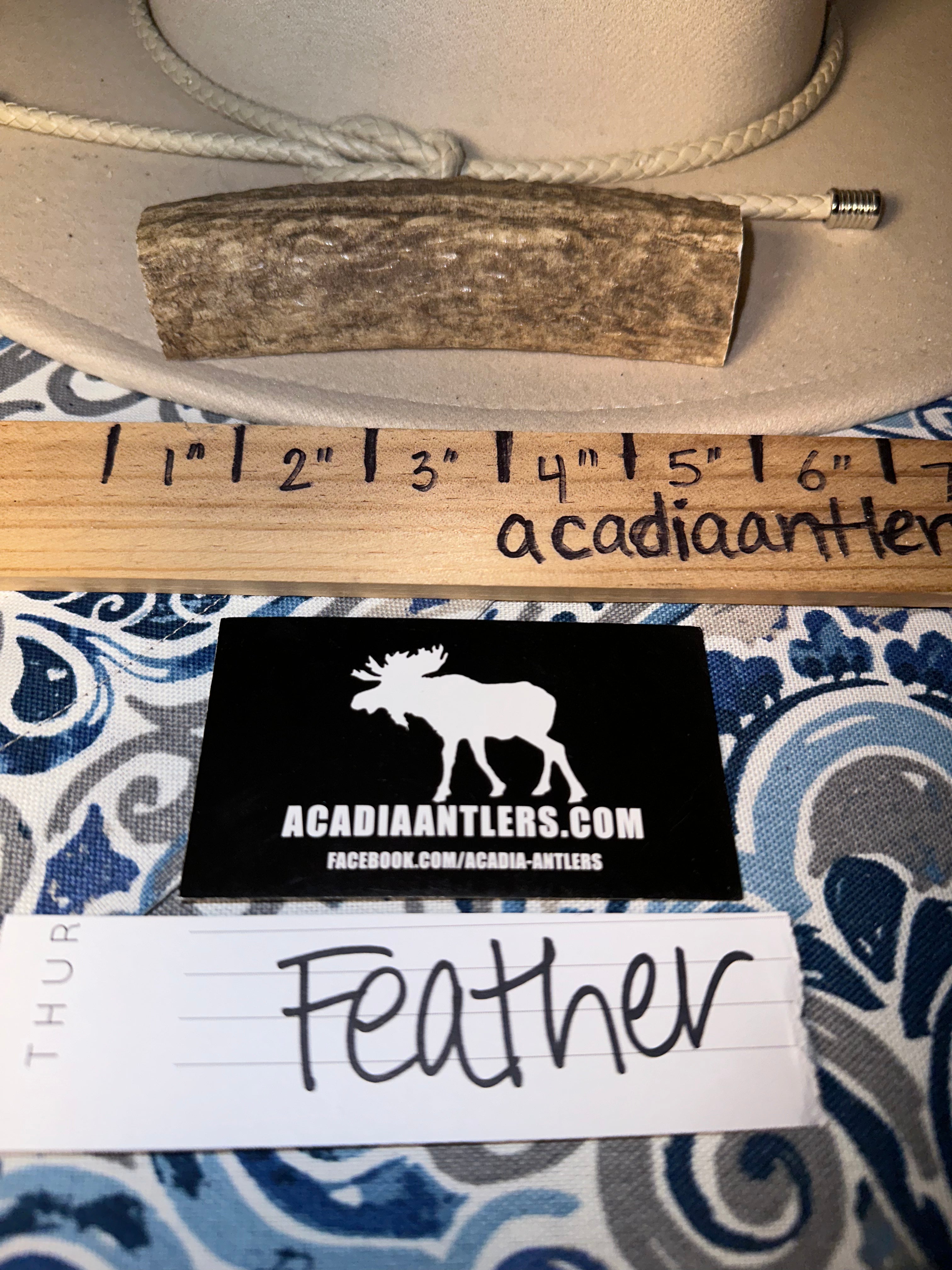Acadia Chunky Split Elk Antler - FEATHER - M Dog